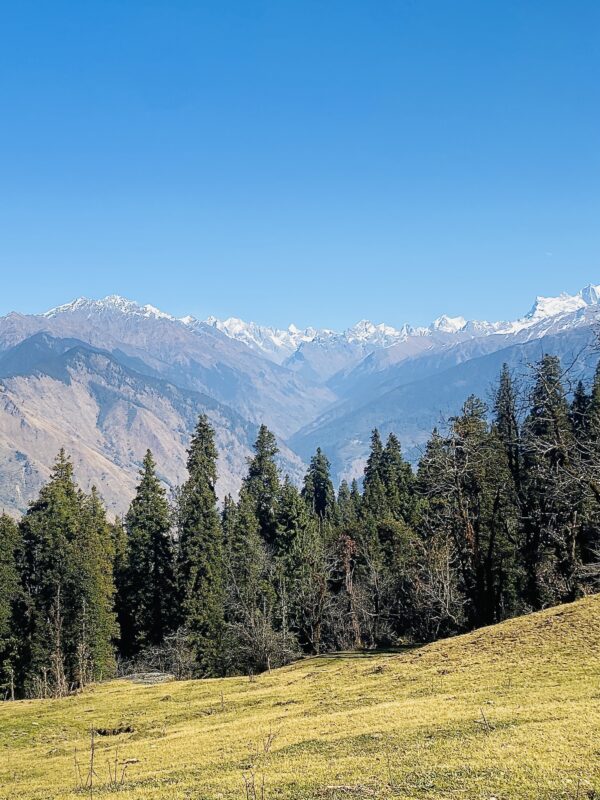 Kedarkantha Trek - Image 5