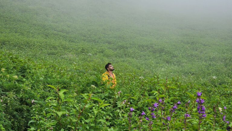 Valley of Flowers Trek