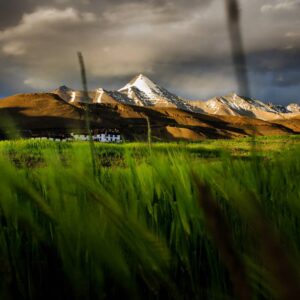 Spiti Valley Road Trip
